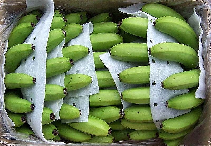 Ký Nghị định thư về xuất khẩu quả chuối tươi từ Việt Nam sang Trung Quốc